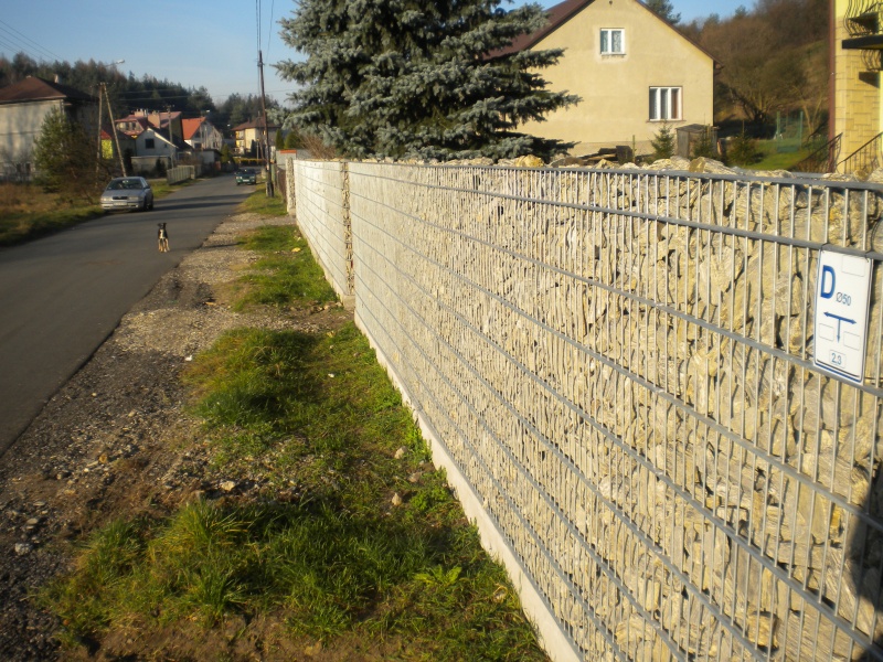 Pflanzen für Gabionen